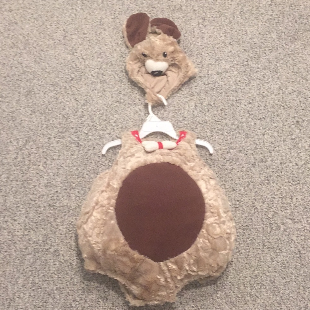 6-12 month old dog costume